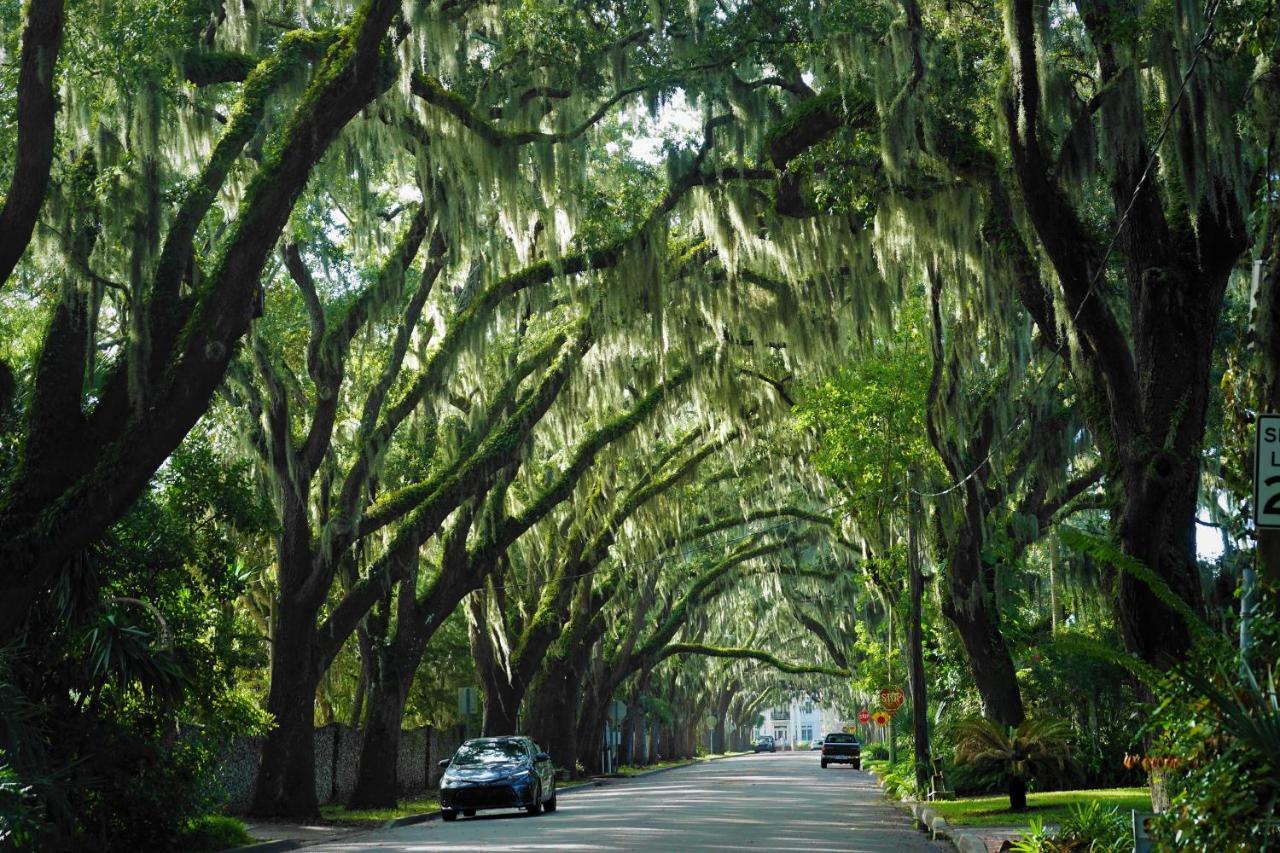 Funny Farm Apartamento St. Augustine Exterior foto